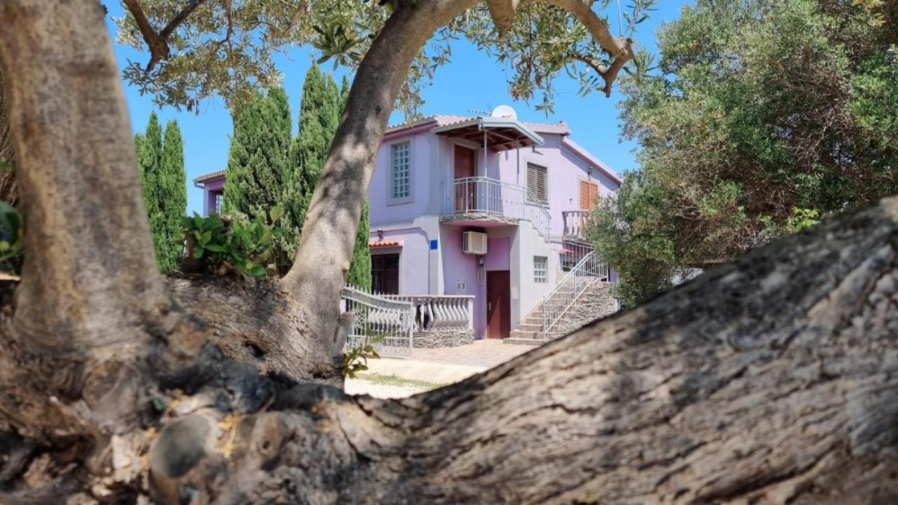 Apartmani Nika Bibinje Bagian luar foto