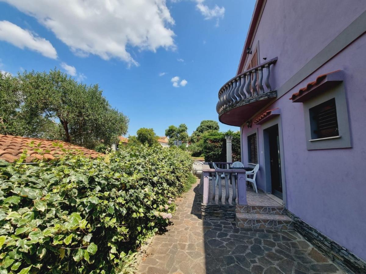 Apartmani Nika Bibinje Bagian luar foto