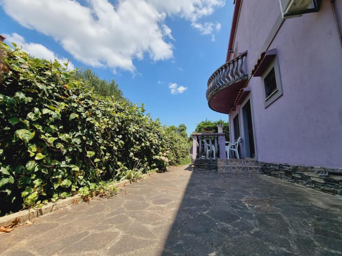 Apartmani Nika Bibinje Bagian luar foto